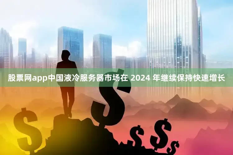 股票网app中国液冷服务器市场在 2024 年继续保持快速增长