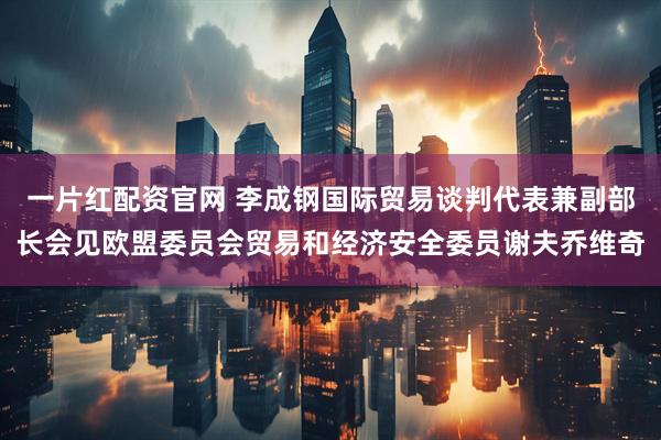 一片红配资官网 李成钢国际贸易谈判代表兼副部长会见欧盟委员会贸易和经济安全委员谢夫乔维奇